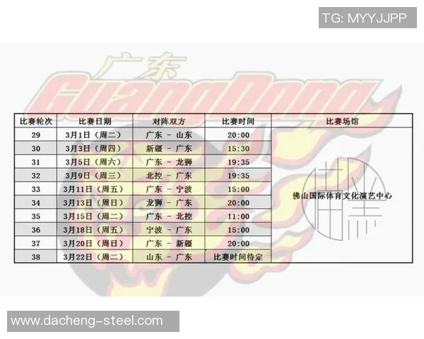 四川与广东篮球对决全方位分析两队实力与战术特点的深度剖析